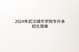 2024年武汉城市学院专升本招生简章