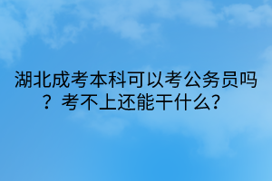 湖北成考本科可以考公务员吗？考不上还能干什么？