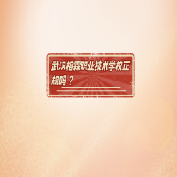 武汉榕霖职业技术学校正规吗？
