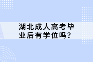 湖北成人高考毕业后有学位吗？