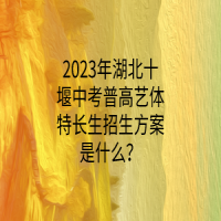 2023年湖北十堰中考普高艺体特长生招生方案是什么？
