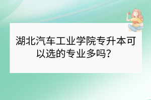 湖北汽车工业学院专升本可以选的专业多吗？