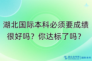湖北国际本科必须成绩很好吗？你达标了吗？