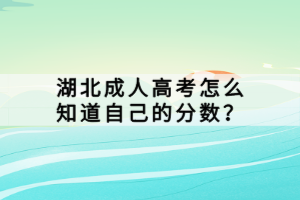 湖北成人高考怎么知道自己的分数？