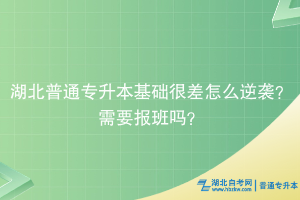 湖北普通专升本基础很差怎么逆袭？需要报班吗？