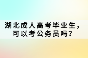 湖北成人高考毕业了，可以考公务员吗？