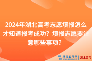 2024年湖北高考志愿填报怎么才知道报考成功？填报志愿要注意哪些事项？