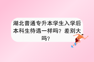 湖北普通专升本学生入学后本科生待遇一样吗？差别大吗？