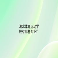 湖北体育运动学校有哪些专业？