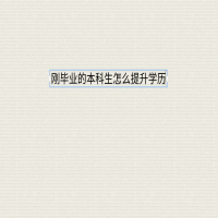 刚毕业的本科生怎么提升学历？