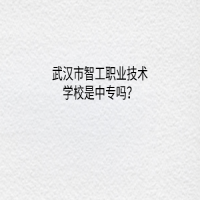 武汉市智工职业技术学校是中专吗？