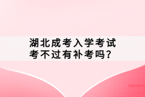湖北成考入学考试考不过有补考吗？