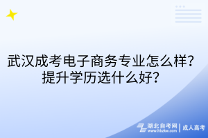 武汉成考电子商务专业怎么样？提升学历选什么好？