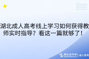 湖北成人高考线上学习如何获得教师实时指导？看这一篇就够了！