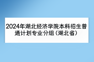 2024年湖北经济学院本科招生普通计划专业分组（湖北省）