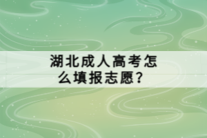 湖北成人高考怎么填报志愿？