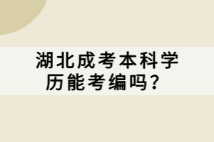 湖北成考本科学历能考编吗？