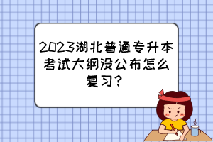 2023湖北普通专升本考试大纲没公布怎么复习？