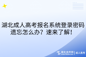 湖北成人高考报名系统登录密码遗忘怎么办？速来了解！