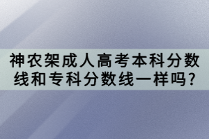 神农架成人高考本科分数线和专科分数线一样吗?