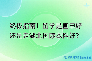 终极指南！留学是直申好还是走湖北国际本科好？