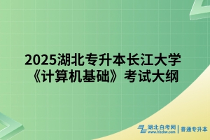 2025湖北专升本长江大学《计算机基础》考试大纲