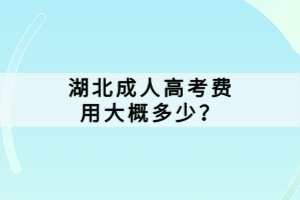 湖北成人高考费用大概多少？