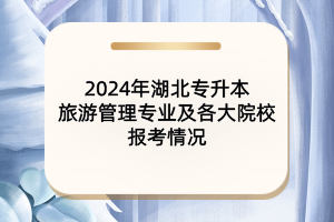 2024年湖北专升本旅游管理专业及各大院校报考情况