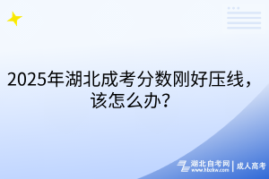 2025年湖北成考分数刚好压线，该怎么办？