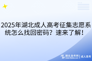 2025年湖北成人高考征集志愿系统怎么找回密码？速来了解！