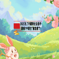 2023为了兴趣特长会选中职吗?中职生“被忽视”?