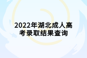 2022年湖北成人高考录取结果查询