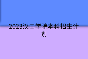 2023汉口学院本科招生计划