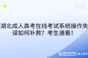 湖北成人高考在线考试系统操作失误如何补救？考生速看！