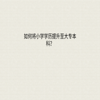 如何通过自考将小学学历提升至大专本科？