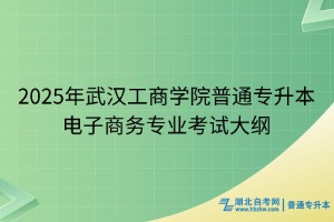 2025年武汉工商学院普通专升本电子商务专业考试大纲