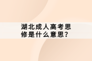 湖北成人高考思修是什么意思？