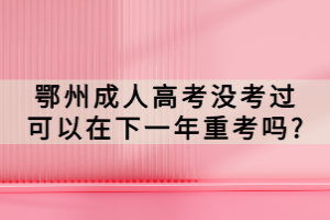 鄂州成人高考没考过可以在下一年重考吗?