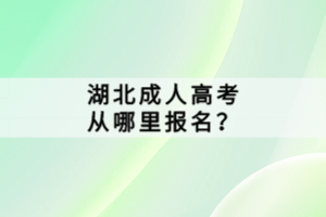 湖北成人高考从哪里报名？