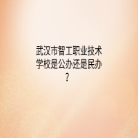 武汉市智工职业技术学校是公办还是民办？