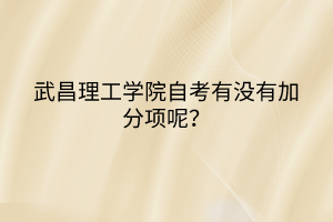 武昌理工学院自考有没有加分项呢？