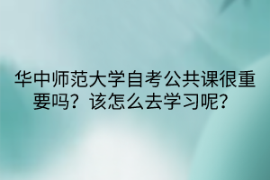 华中师范大学自考公共课很重要吗？该怎么去学习呢？