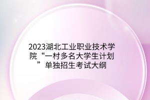 2023湖北工业职业技术学院“一村多名大学生计划”单独招生考试大纲