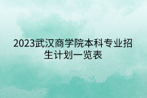 2023武汉商学院本科专业招生计划一览表