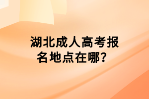湖北成人高考报名地点在哪？