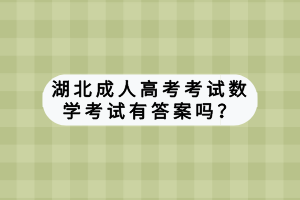 湖北成人高考考试数学答案有答案吗？
