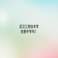 武汉江南技术学校是中专吗？