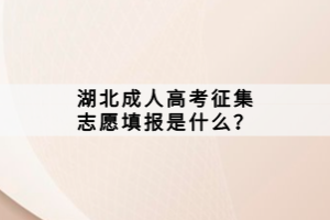 湖北成人高考征集志愿填报是什么？