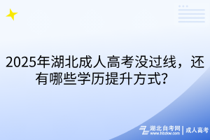 2025年湖北成人高考没过线，还有哪些学历提升方式？