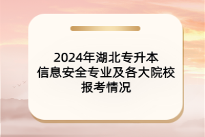 2024年湖北专升本信息安全专业及各大院校报考情况